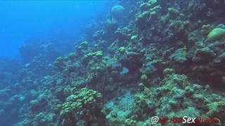 SCUBA Sex in a Miniskirt by a Beautiful Coral Reef