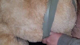 Cumming on my Teddy Bears ass