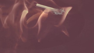 Sex Education with Laura Quest | Tas Tas Show Teaser Season 2