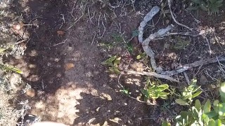 hot cop piss , & jerk off and talk dirty untill cum