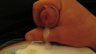 Masturbe (288) with one testicle