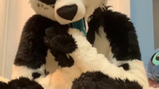 Furry shows off feet & fucks a plushie