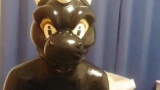 貞操具を付けたペットのラバードラゴン