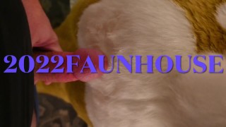Furry Blowjob