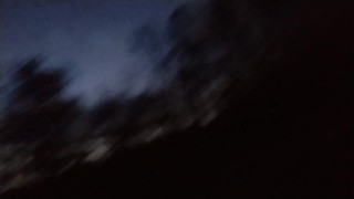 Early morning roadside sissy