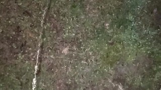 Morning pissing (sorry I haven't been posting)