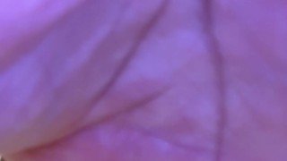 New Bad Dragon Austin XL Knot