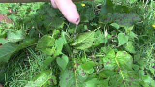 peeing in the garden