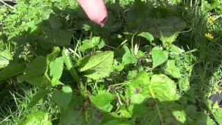 peeing in the garden