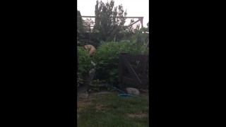 The naked gardener