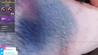 Mollyflwers