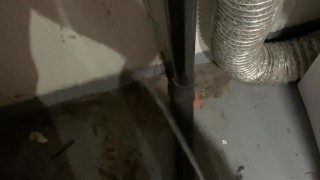 Pissing by the dryer
