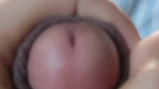 Close up jakol