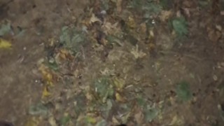 My first cumshot compilation