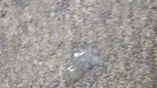 Morning aftermath feet And nut