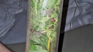 Brennnessel und Pumpen