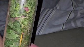 Brennnessel und Pumpen