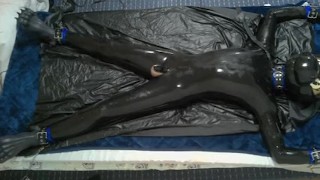 how to train rubber dragon