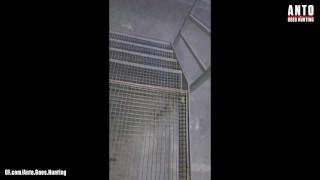 Straight Gardener Accepted My Offer