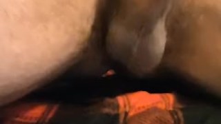 HAIRY MUSCLE BEAR FLEX AND CUMSHOT COMPILATION