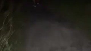 Naked walk in park