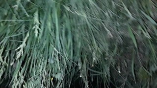 I piss in a public place - Lesbian_illusion