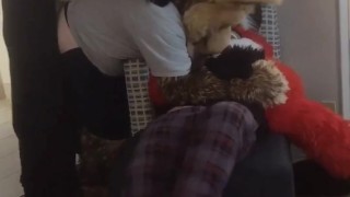 Fox and Sergal Shenanigans 🦊