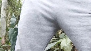 I walk through the forest, I end up masturbating, I almost cum until they caught me