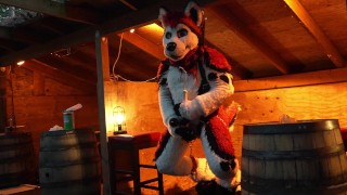 Husky Fursuiter Suspension Jerkoff