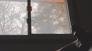 Me jaló la polla hasta sacar toda mi leche