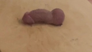 My sexy Miu Miu Black High Heeled Pumps are pumped up for cock ball trampling, busting and crushing.