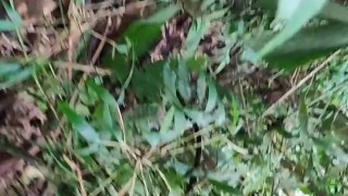 morning masturbation after running 8 kilometers on the road