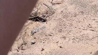 Squish Feet in Mud and Wiggle Toes