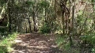 Caminata con follada y mamada al aire libre alguien nos descubre