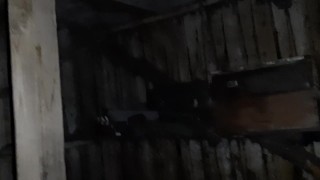 A real stranger girl paid for a cigarette with sex (With dirty talk) - Lesbian_illusion