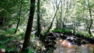  NEIGHBOR OUTDOOR AT THE RIVER