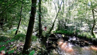  NEIGHBOR OUTDOOR AT THE RIVER