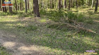 A strange girl met me just for sex and asked me to fuck her right in the woods