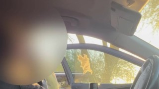 Fleshlight @ The Park