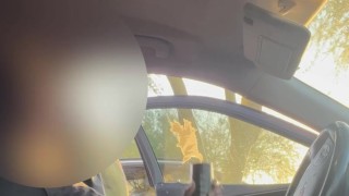 Fleshlight @ The Park