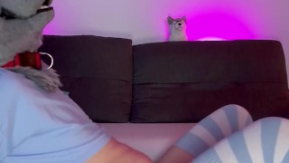 Femboy twink puppy rides huge Horse dildo while wearing a chastity
