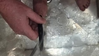 White Kiwi NZ Bear plays with water and his cock