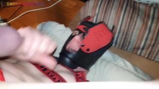 Pup Domesticated By Alpha Part 2 of 2 - 'SWEDISHGAYCOUPLE' -