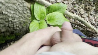 Cute Tiny Dick Pissing in the Woods [Amateur HD POV]