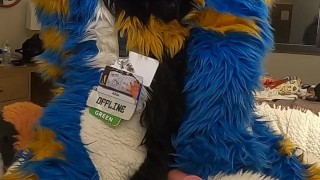 good kitty fucks the cum out of the bad dog then cums hands free