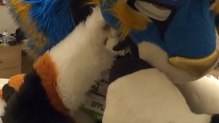 good kitty fucks the cum out of the bad dog then cums hands free