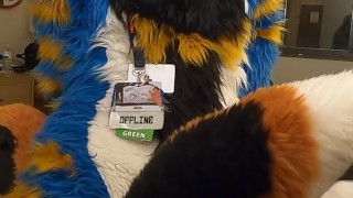 good kitty fucks the cum out of the bad dog then cums hands free