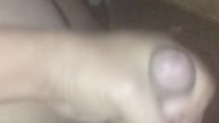 El regreso de la bestiapolla