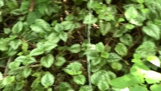 Risky Walkway Forest Piss