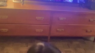 Attempting Malenia while getting a blowjob! Elden Ring NSFW gameplay